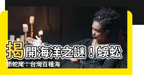 蜈蚣節蛇尾|蜈蚣